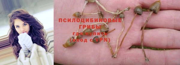 альфа пвп Арсеньев