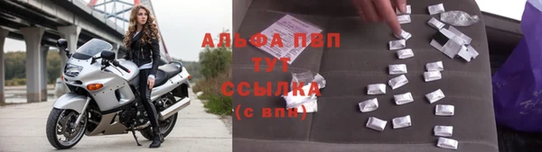 ешки Инта
